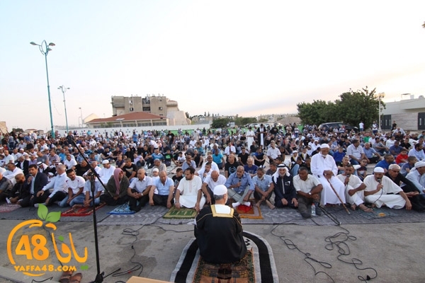 3eed ludjfddjfh (10).jpg